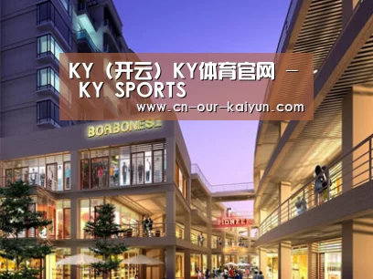 案例展示一(图1)