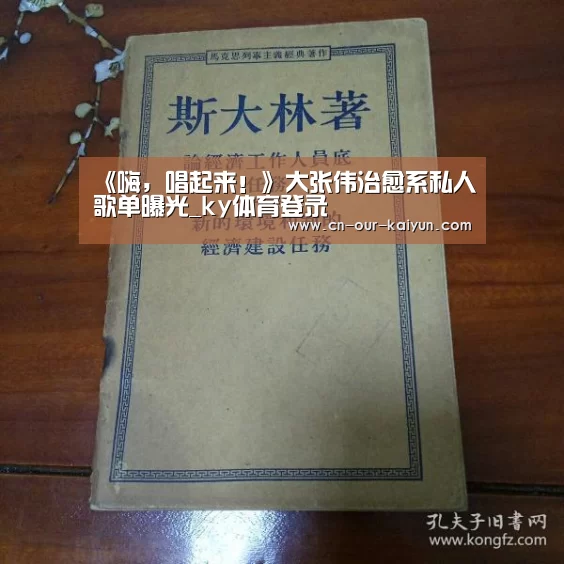 《嗨,唱起来!》大张伟治愈系私人歌单曝光_ky体育登录(图2) ky体育官网