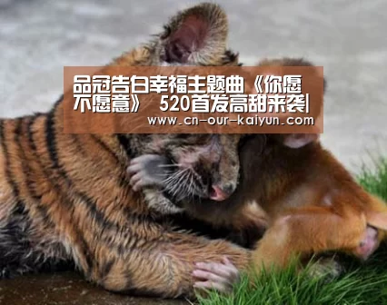 品冠告白幸福主题曲《你愿不愿意》 520首发高甜来袭|ky体育app(图2) ky体育官网
